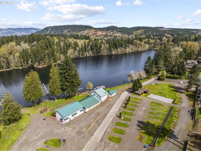 101 LIGHTHOUSE Ln, Mossyrock, WA 98564