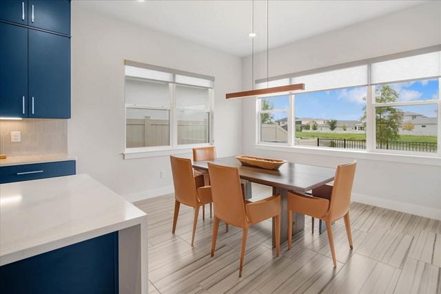 8809 DRUMMER PLANK DRIVE, Wesley Chapel, FL 33545