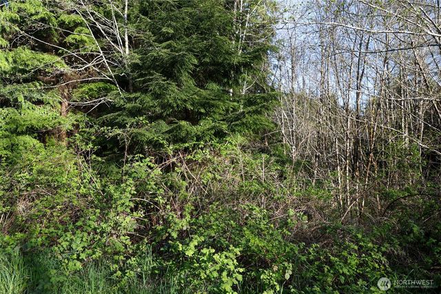 0 Alpine Ln, Hoquiam, WA 98550