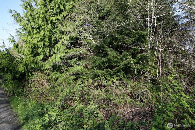 0 Alpine Ln, Hoquiam, WA 98550