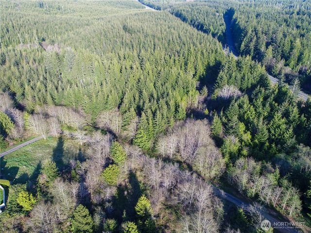 0 Alpine Ln, Hoquiam, WA 98550