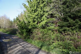 0 Alpine Ln, Hoquiam, WA 98550