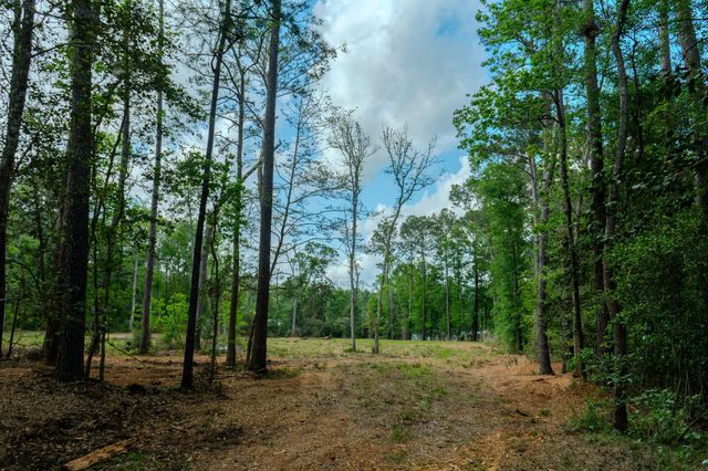 0 Ascot Farms, Magnolia, TX 77354