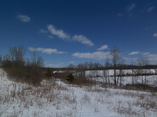 19740 Lemm Road, Manchester, MI 48158