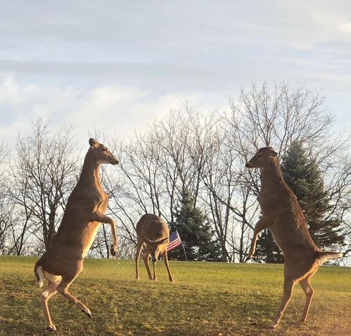 5438 Marie Road, Oregon, WI 53575