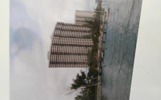 Active5200 N 5200 N Flagler Drive SE 702, West Palm Beach, FL 33407