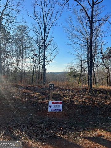 37 Blalock Mountain Road, Ellijay, GA 30540