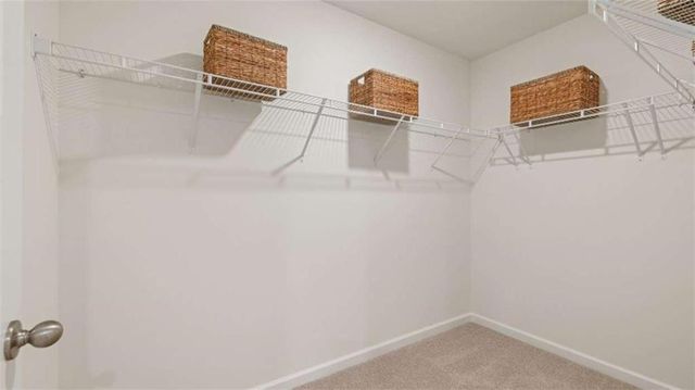 117 Oakchase Park Lane, Hampton, GA 30228