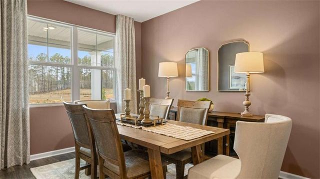 117 Oakchase Park Lane, Hampton, GA 30228