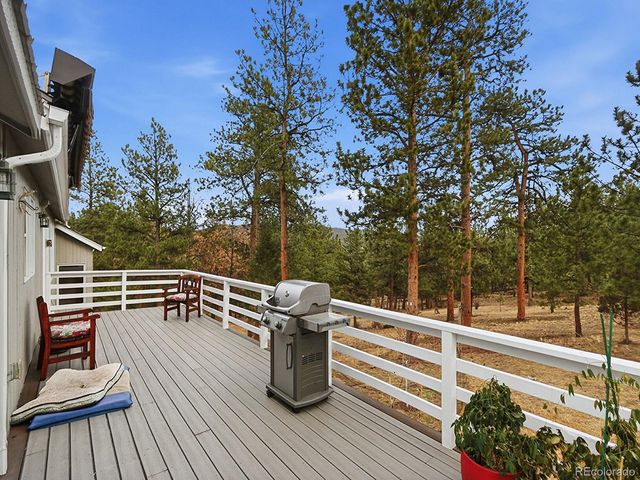 13892 Douglas Ranch Drive, Pine, CO 80470
