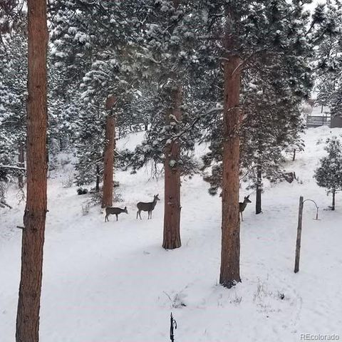 13892 Douglas Ranch Drive, Pine, CO 80470