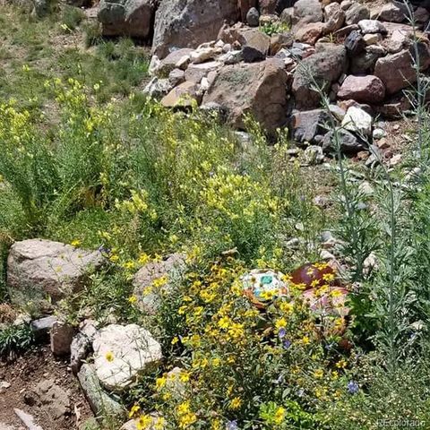 13892 Douglas Ranch Drive, Pine, CO 80470