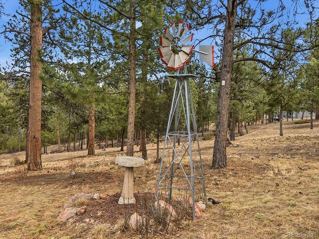 13892 Douglas Ranch Drive, Pine, CO 80470