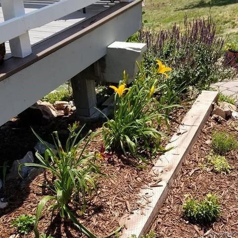 13892 Douglas Ranch Drive, Pine, CO 80470