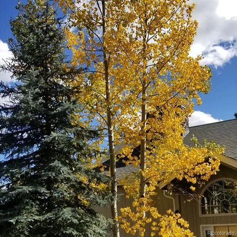 13892 Douglas Ranch Drive, Pine, CO 80470
