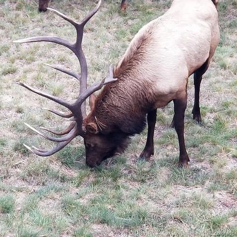 13892 Douglas Ranch Drive, Pine, CO 80470