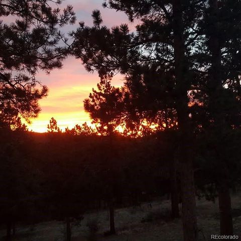 13892 Douglas Ranch Drive, Pine, CO 80470