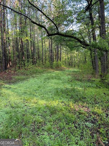 1433 Cleveland Farm Road, Locust Grove, GA 30248