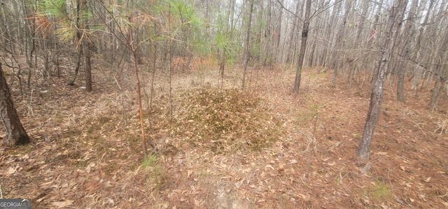 306 Patterson Road, Griffin, GA 30223