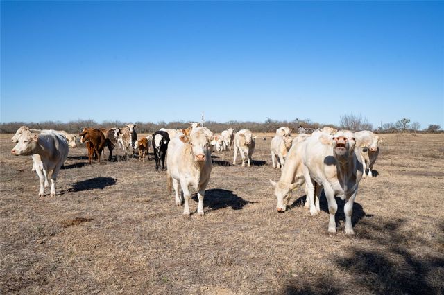 TBD Richards DR, Del Valle, TX 78617