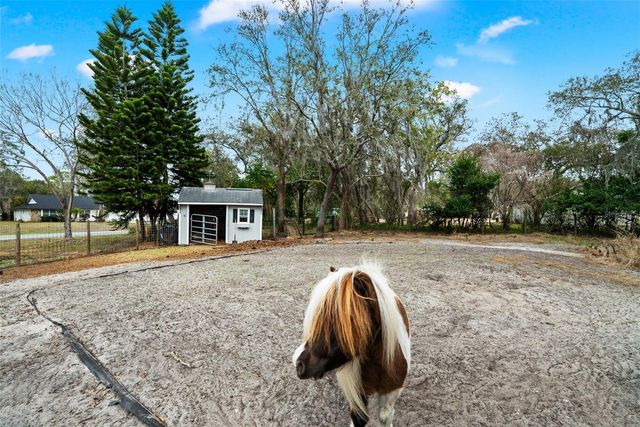 6568 MILLSTONE DRIVE, New Port Richey, FL 34655