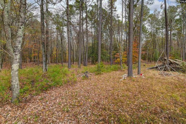 110 Prince Drive, Ridgeway, SC 29130