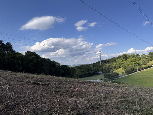 0 Old Murfeesboro Rd, S, Lebanon, TN 37090