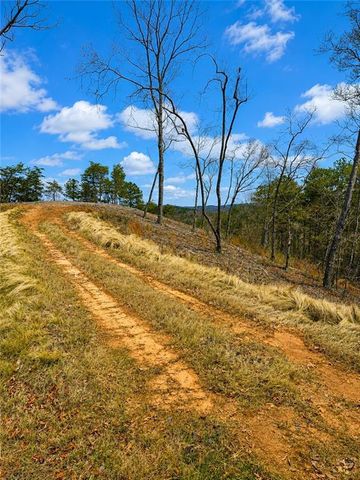 0 Canoe Way, Talking Rock, GA 30175