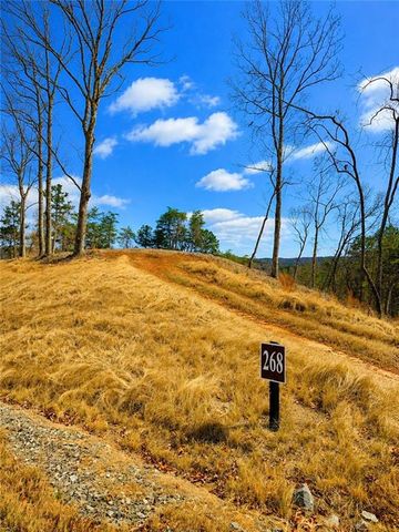 0 Canoe Way, Talking Rock, GA 30175