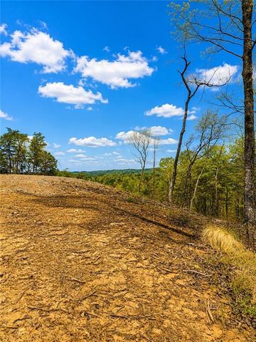 0 Canoe Way, Talking Rock, GA 30175