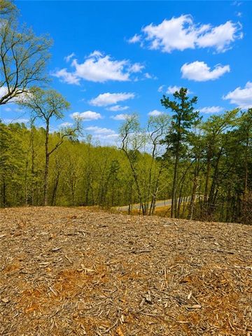0 Canoe Way, Talking Rock, GA 30175