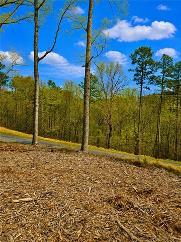 0 Canoe Way, Talking Rock, GA 30175
