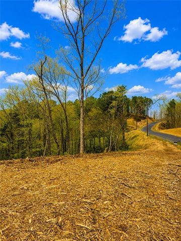 0 Canoe Way, Talking Rock, GA 30175