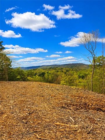 0 Canoe Way, Talking Rock, GA 30175