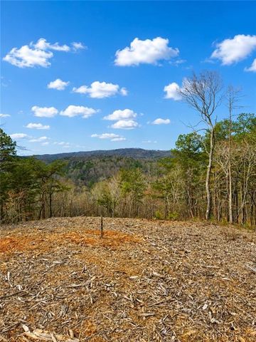 0 Canoe Way, Talking Rock, GA 30175