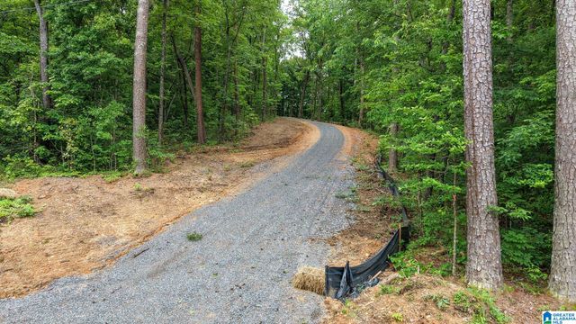 2850 N 11TH AVENUE, Pell City, AL 35125