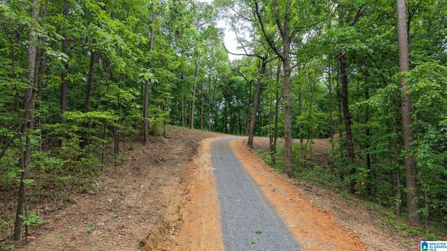 2850 N 11TH AVENUE, Pell City, AL 35125