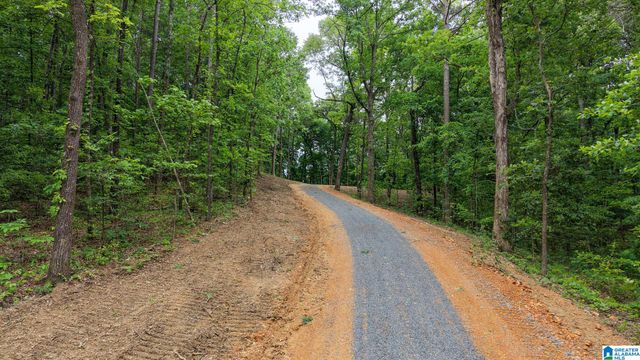 2850 N 11TH AVENUE, Pell City, AL 35125