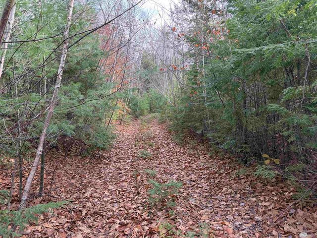 Map 29 Lot 5-1 Middleton Road, Milton, NH 03851