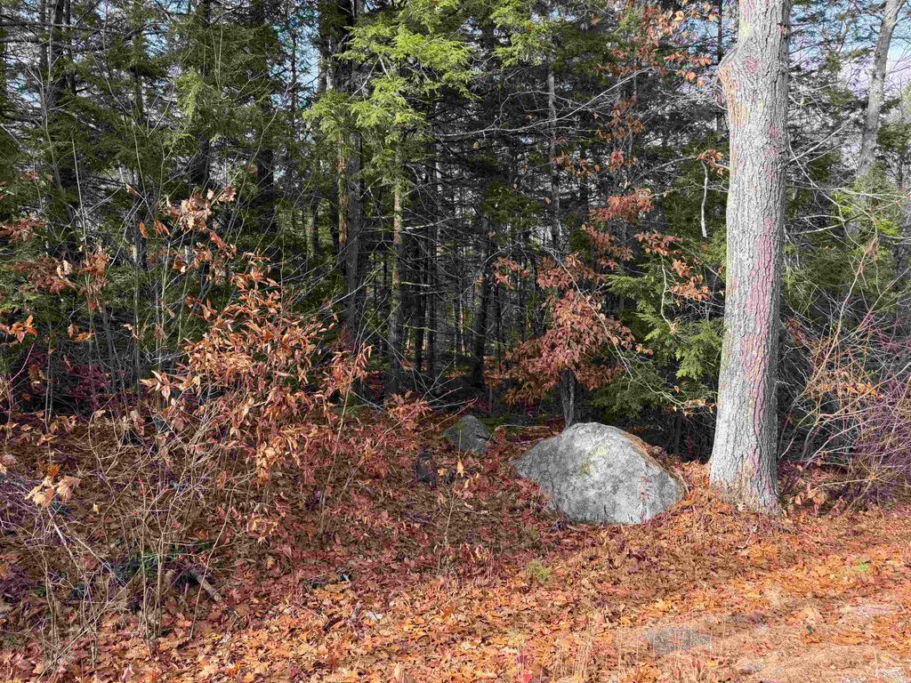 Map 29 Lot 5-1 Middleton Road, Milton, NH 03851