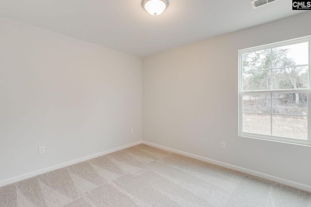 3105 Hallsdale Drive, Elgin, SC 29045