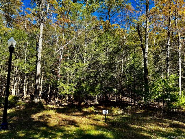 44-86 Falling Waters Drive, Palenville, NY 12463