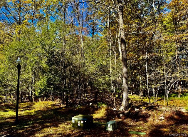 44-86 Falling Waters Drive, Palenville, NY 12463