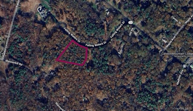 44-86 Falling Waters Drive, Palenville, NY 12463