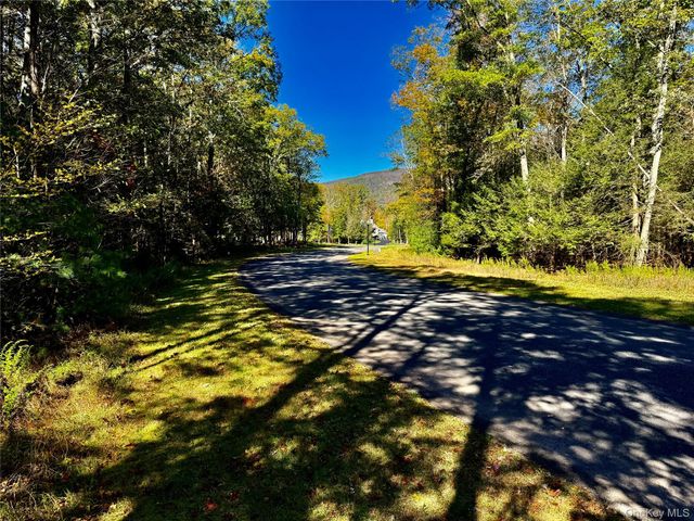 44-86 Falling Waters Drive, Palenville, NY 12463