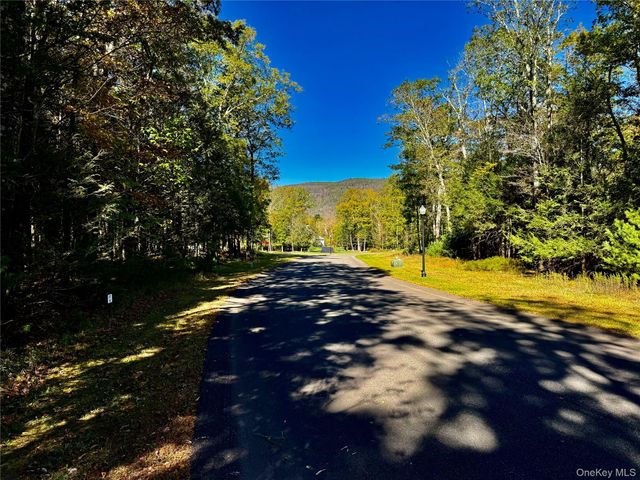 44-86 Falling Waters Drive, Palenville, NY 12463