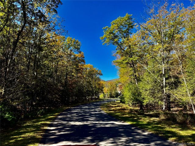 44-86 Falling Waters Drive, Palenville, NY 12463