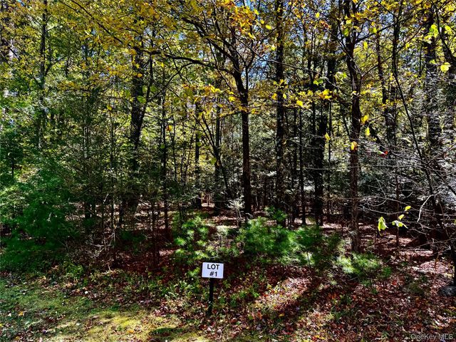 44-86 Falling Waters Drive, Palenville, NY 12463