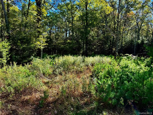 44-86 Falling Waters Drive, Palenville, NY 12463