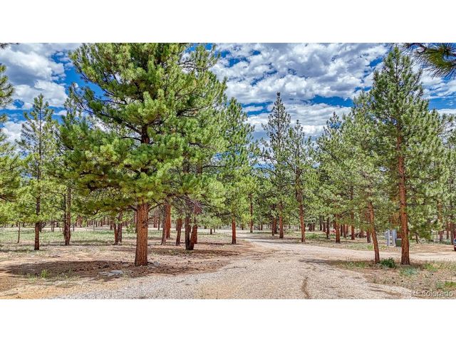 18480 Ponderosa Ln, Buena Vista, CO 81211